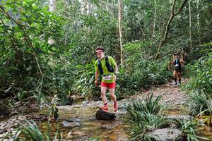 BIB: 1309
                            <button type="button" onclick="openModal(22350517)" class="btn btn-primary btn-sm float-right btn-popup" data-toggle="modal" data-target=".modal-high-quality">
                        <i class="fas fa-shopping-cart"></i> Add to Cart
                    </button>
                                            <button type="button" onclick="isThisMe(22350517, true)" class="btn btn-success btn-sm float-right btn-popup btn-isme hidden" data-toggle="tooltip" data-placement="bottom" title="นี่คือรูปของคุณใช่ไหม คลิกที่นี่เพื่อเอาเข้าอัลบั้ม">
                        <i class="fas fa-plus"></i> Add to album
                    </button>
                    <button type="button" onclick="isThisMe(22350517, false)" class="btn btn-warning btn-sm float-right btn-popup btn-isnotme hidden">
                        <i class="fas fa-ban"></i> Remove from album
                    </button>